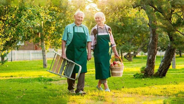 pflegestärkungsgesetz