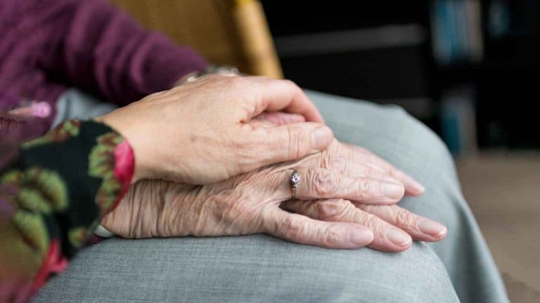 Mayflower Capital: Finanztipps – Statistik des PKV-Verbandes