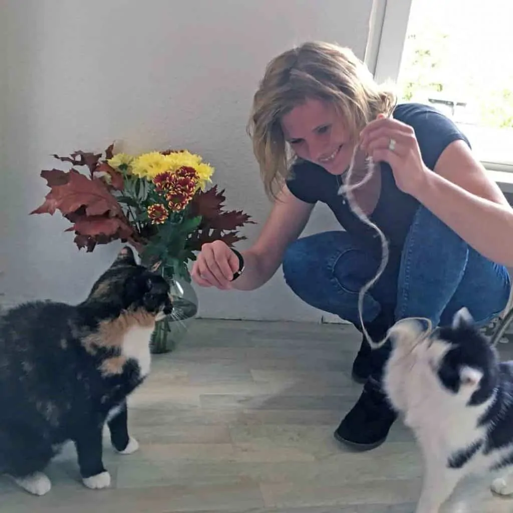 Mayflower Capital Partnerin: Désirée Fritz mit ihren Katzen